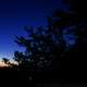 Forest, sky, and stars at Wildcat Mountain State Park, Wisconsin