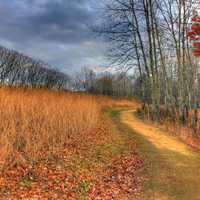 Hiking Trail at Wildcat Mountain State Park, Wisconsin