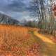 Hiking Trail at Wildcat Mountain State Park, Wisconsin