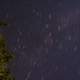 Star Swirls at Wildcat Mountain State Park, Wisconsin