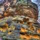 The Rock at Wildcat Mountain State Park, Wisconsin