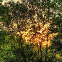 Sun behind the trees at Willow River State Park, Wisconsin