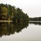 Autumn Trees on the shoreline of the Wisconsin River