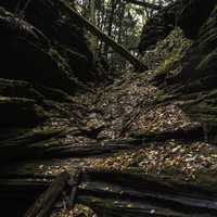 Logs and rock formations at Witch's Gulch in Wisconsin Dells