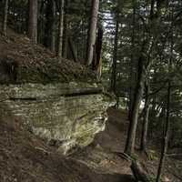 Rock, Trees and forest in Wisconsin Dells