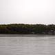 Treeline and Horizon across the Wisconsin River with Autumn Trees