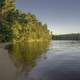 Trees, Forest, and shoreline on the Wisconsin River