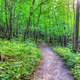 Hiking Path at Wyalusing State Park, Wisconsin