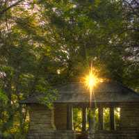 Sunlight through the trees at Wyalusing State Park, Wisconsin