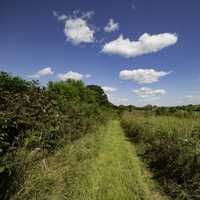 Hiking Trail into the Prairie