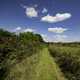 Hiking Trail into the Prairie