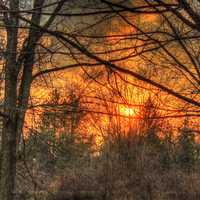 Forest Sunset at Yellowstone Lake State Park, Wisconsin