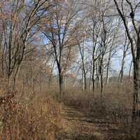 Park Trail at Yellowstone Lake State Park, Wisconsin