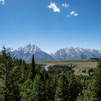 Mountains beyond the trees