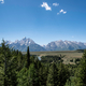 Mountains beyond the trees