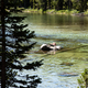 Person sunbathing on Rock in middle of lake