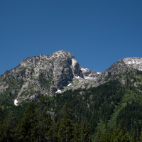 Trees on the mountains with snowy peaks