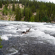 Across Yellowstone River landscape with trees