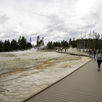 Boardwalk above the steaming ground