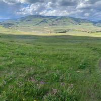 Yellowstone National Park  Photos