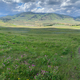Cloudy panoramic landscape in Yellowstone National Park