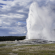 Far off view of Old Faithful Eruption