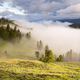 Fog in the Yellowstone Valley