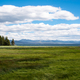 Grassland by Yellowstone Lake with clouds and sky