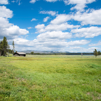 Landscape of Grassland with mountains in the background