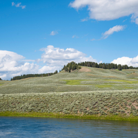 Large Hill landscape with trees