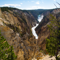 Lower Yellowstone Falls landscape