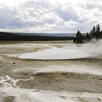 More Steam coming out of the ground vents in Yellowstone National Park