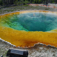 Morning Glory Pool at Yellowstone National Park, Wyoming