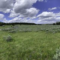 Panoramic green meadow under sky and clouds