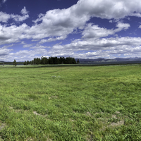 People walking in the meadow panoramic