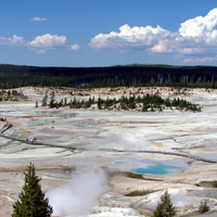 Porcelain Basin, Norris Area landscape in Yellowstone National Park, Wyoming