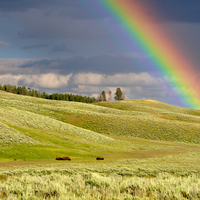 Rainbow over the Yellowstone Landscape, Wyoming
