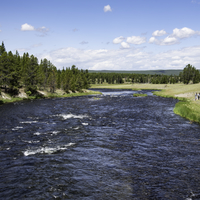 River and trees, hills, and grassland