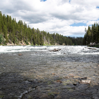 Rushing Yellowstone River