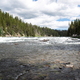 Rushing Yellowstone River