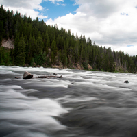 Smooth flowing rapids on the Yellowstone River