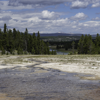 Springs and River with trees