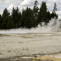 Steam vents and Mud Pots 