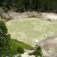 Sulphur Caldron, Mud Volcano area in Yellowstone National Park, Wyoming