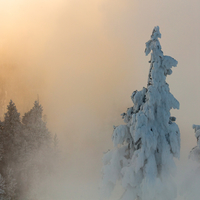 Sunrise in the snowy canyon