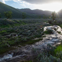 Sunrise over Rose Creek landscape