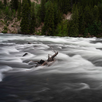 Whitewater flowing over rocks