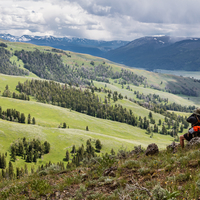 Wildlife watching in Lamar Valley