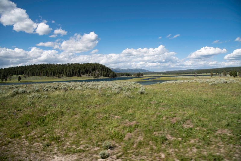 Windswept landscape in Yellowstone National Park image - Free stock ...