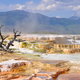 Yellowstone landscape near Mammoth Springs in Wyoming